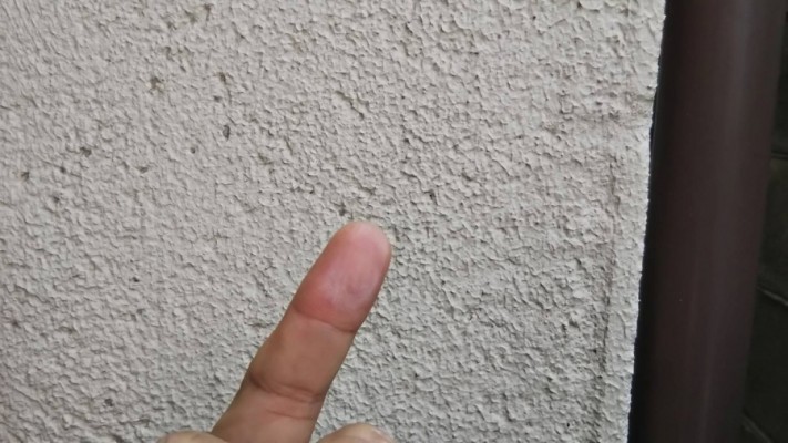 堺区戸建現地調査4