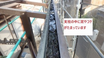 枠の中の泥やコケ