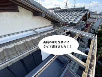波板雨樋掃除