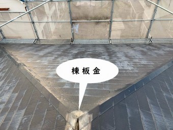 棟板金