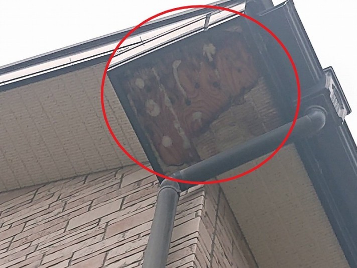 雨漏りボードの剝がれ