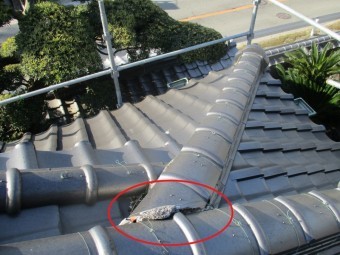 本来漆喰がある瓦