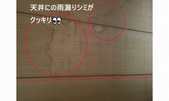 天井の雨漏りシミ