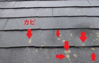 屋根カバー工法 カビ