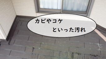 雨漏り点検 カビやコケの汚れ