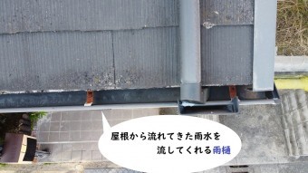雨樋