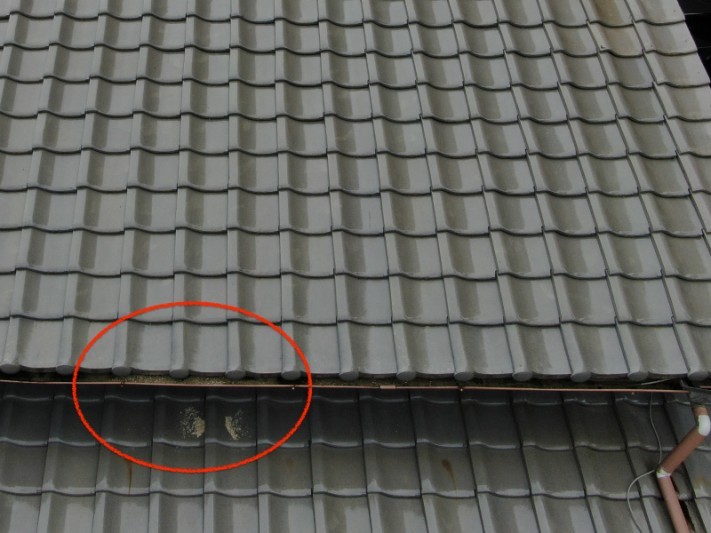 雨樋のつまり