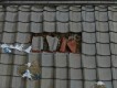 台風で瓦の被害
