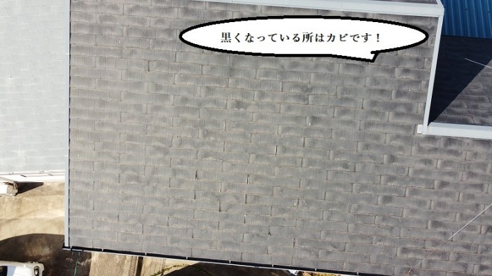 カビや色褪せがみられる劣化したスレート