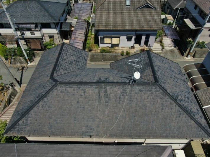DJI_0473-columns1