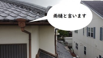 雨樋