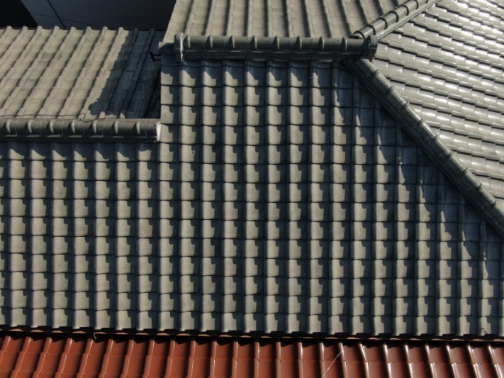 DJI_0496-columns1