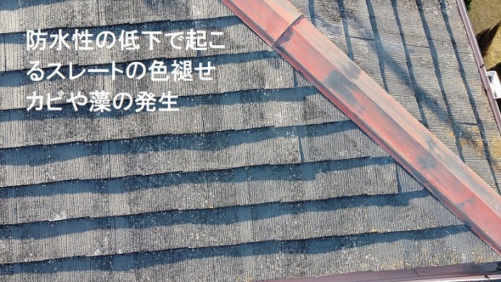 屋根表面の劣化症状