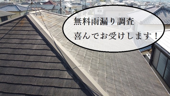 東大阪市 雨漏り調査