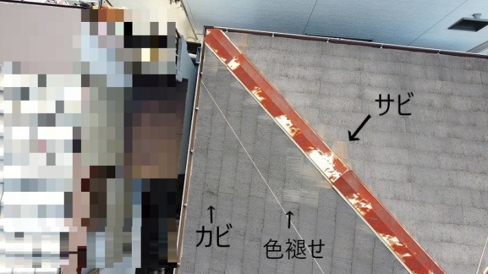 屋根修繕が必要な劣化症状 サビやコケなどの発生