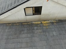 屋根先のカラーベストの劣化症状