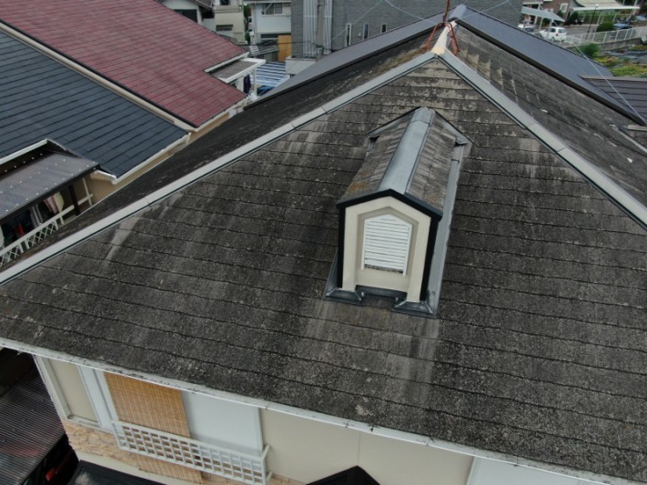 DJI_0995-columns1