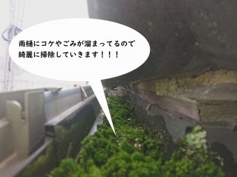 雨樋掃除