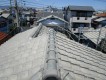 IMG_0115