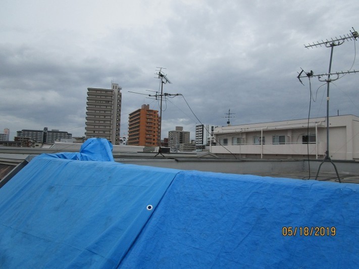 あびこ現地調査4
