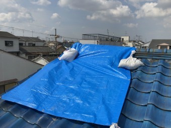 ブルーシート養生