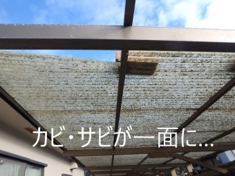 カビやサビが一面についた波板