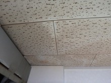 雨漏り調査