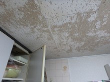 雨漏り調査