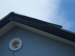 ケラバ板金の被害