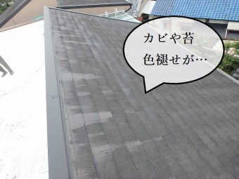 カバー工法施工前