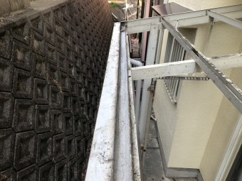 コケ撤去