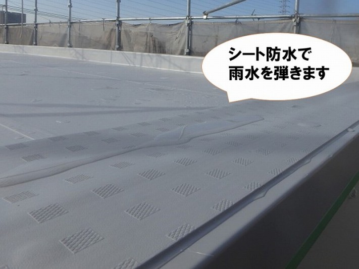 屋上を修繕したことで防水層が復活し雨水を弾く
