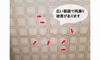 雨漏り