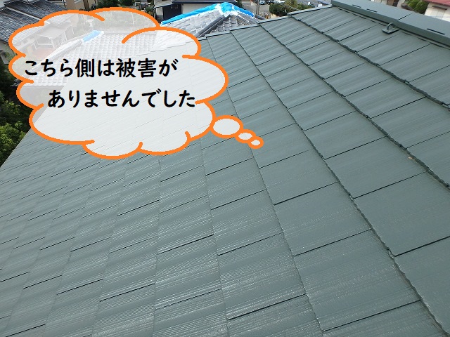 屋根メンテナンス
