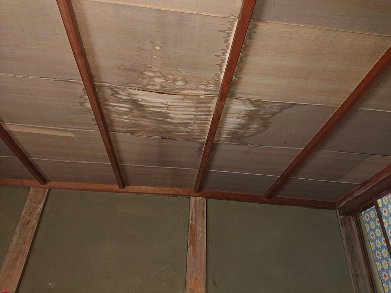 雨漏りによるシミが発生している和室の天井