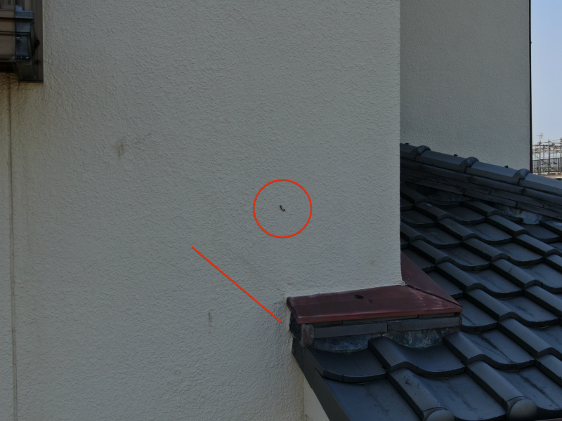 外壁の傷 台風にて