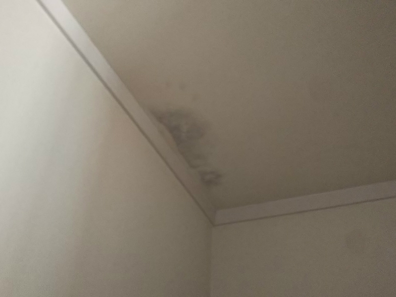 天井の雨漏り