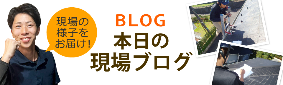 大阪市・松原市・八尾市やその周辺エリア、その他地域のブログ
