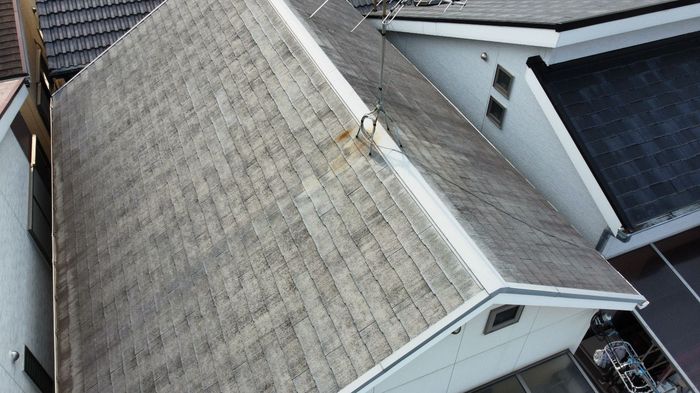 【八尾市太子堂】コケびっしりのスレート屋根と棟板金の釘浮きを調査｜屋根塗装の現地調査